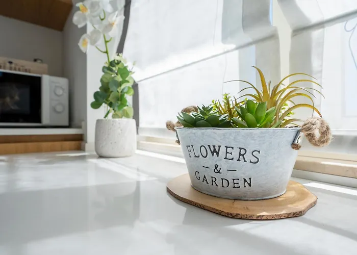 公寓 Adriatik Solera